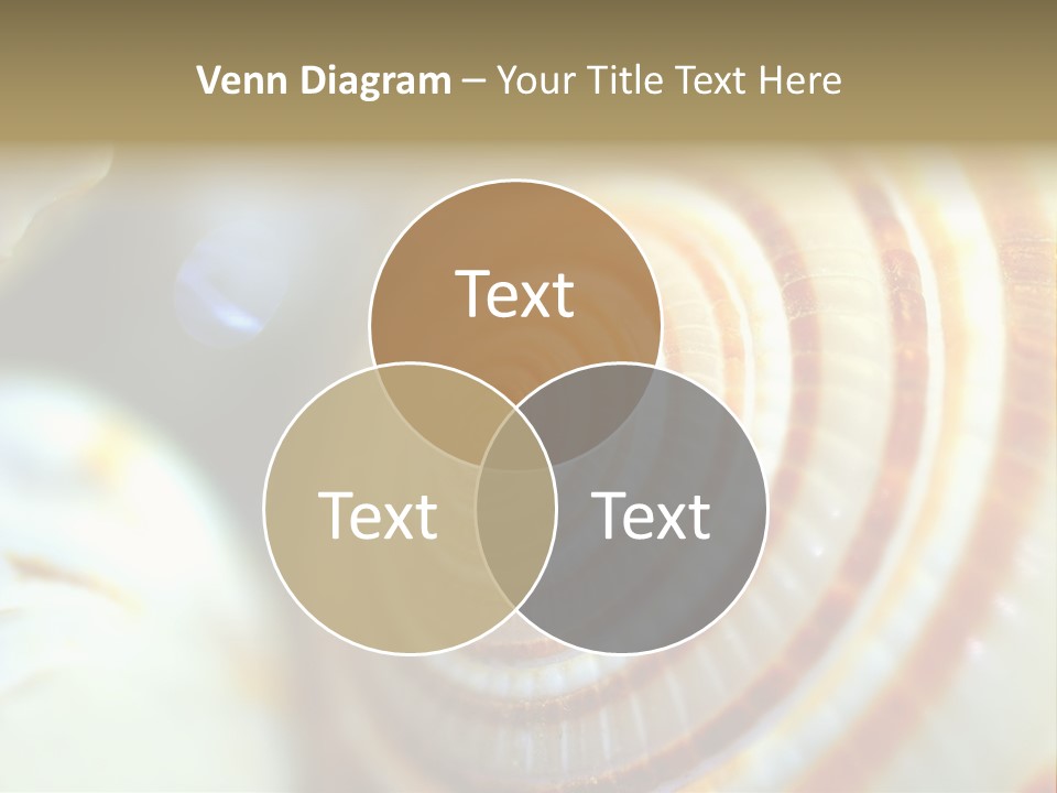 Background Objects Life PowerPoint Template