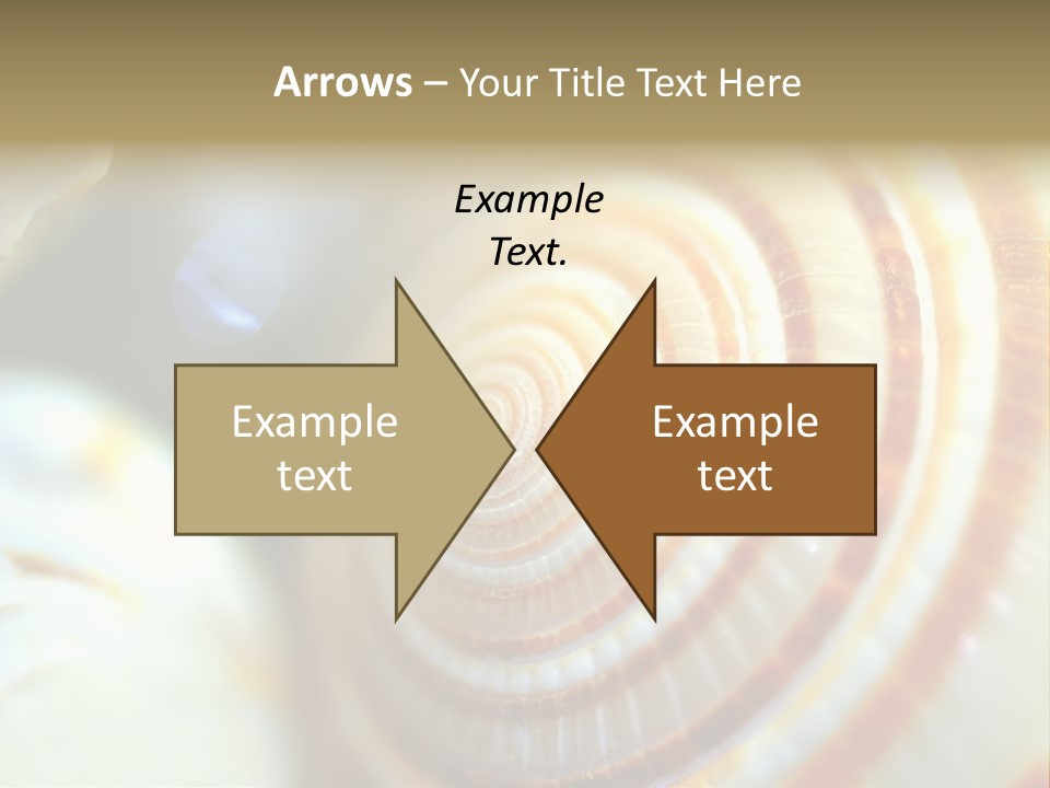 Background Objects Life PowerPoint Template