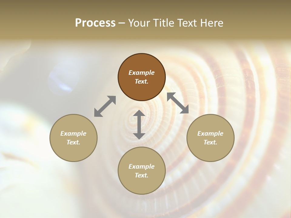 Background Objects Life PowerPoint Template