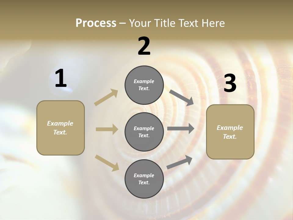 Background Objects Life PowerPoint Template