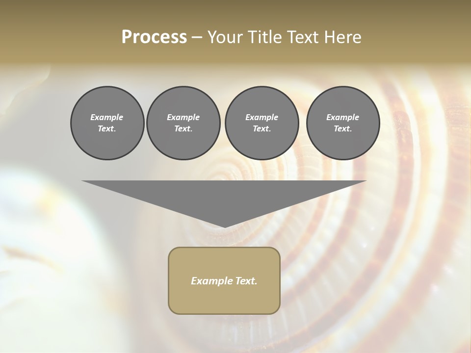 Background Objects Life PowerPoint Template