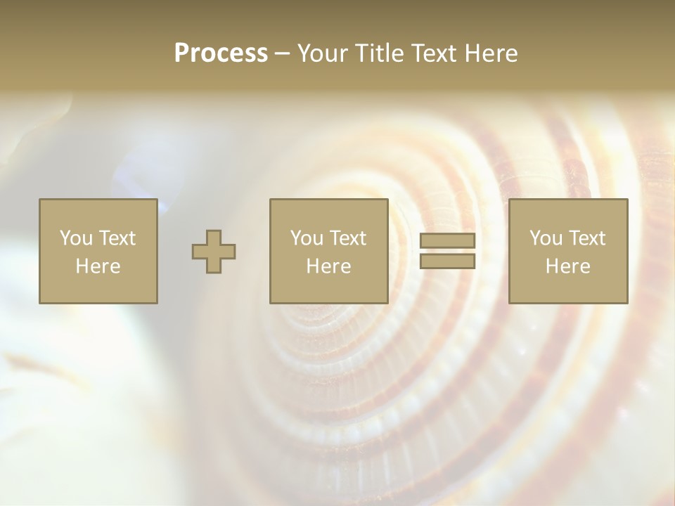 Background Objects Life PowerPoint Template