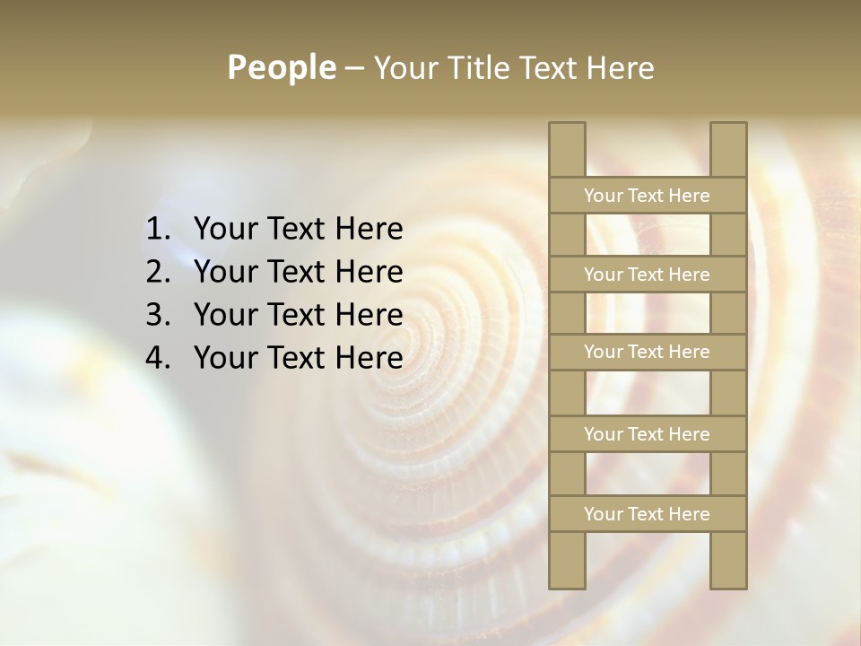 Background Objects Life PowerPoint Template