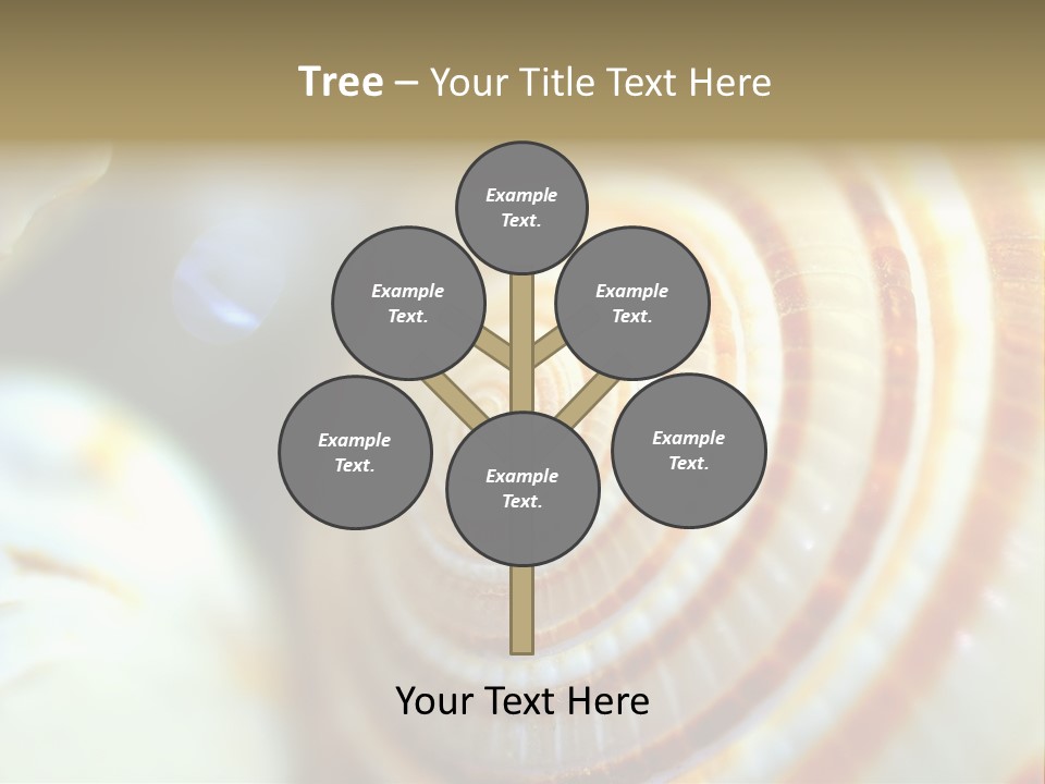 Background Objects Life PowerPoint Template