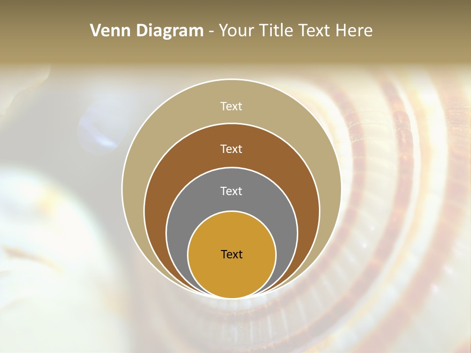 Background Objects Life PowerPoint Template