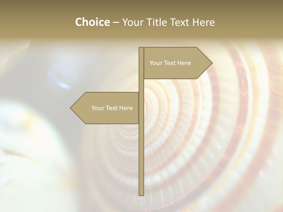 Background Objects Life PowerPoint Template