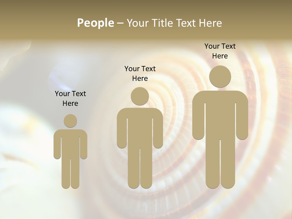 Background Objects Life PowerPoint Template