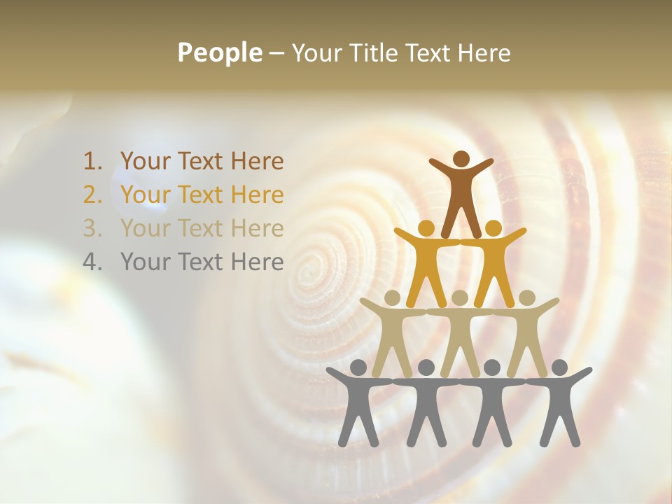 Background Objects Life PowerPoint Template