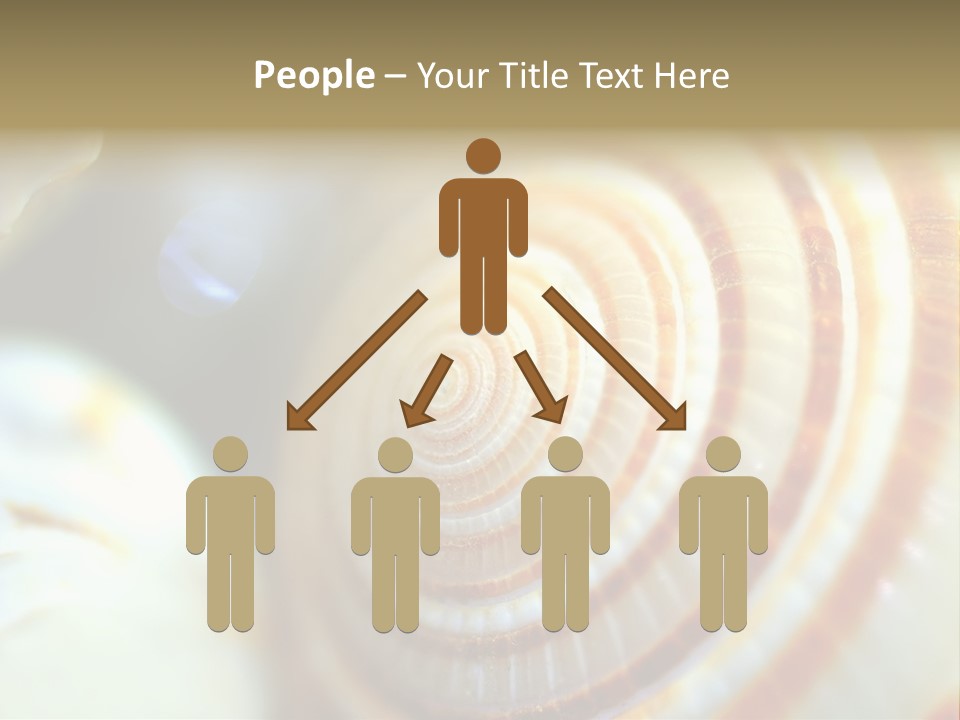 Background Objects Life PowerPoint Template