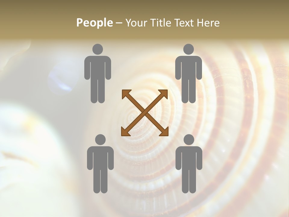 Background Objects Life PowerPoint Template