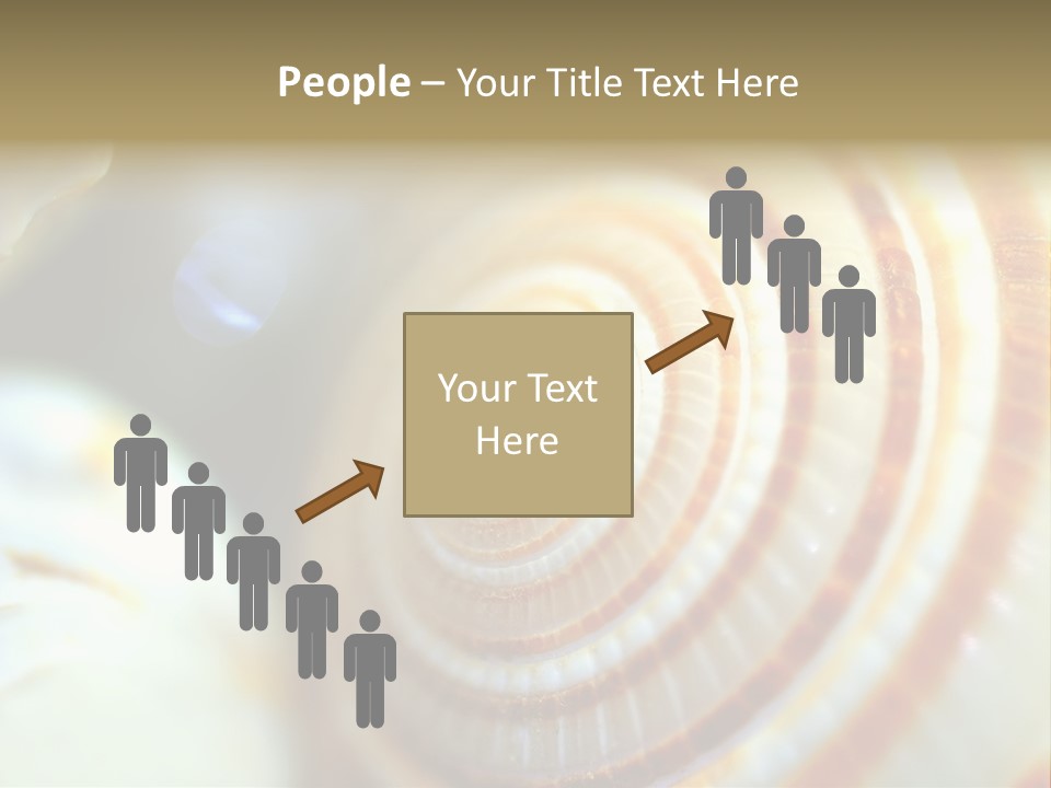 Background Objects Life PowerPoint Template