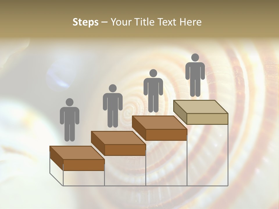 Background Objects Life PowerPoint Template