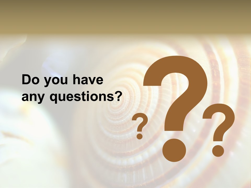 Background Objects Life PowerPoint Template