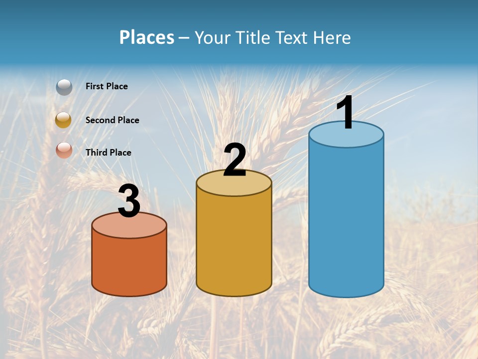 Agriculture Large Rye PowerPoint Template
