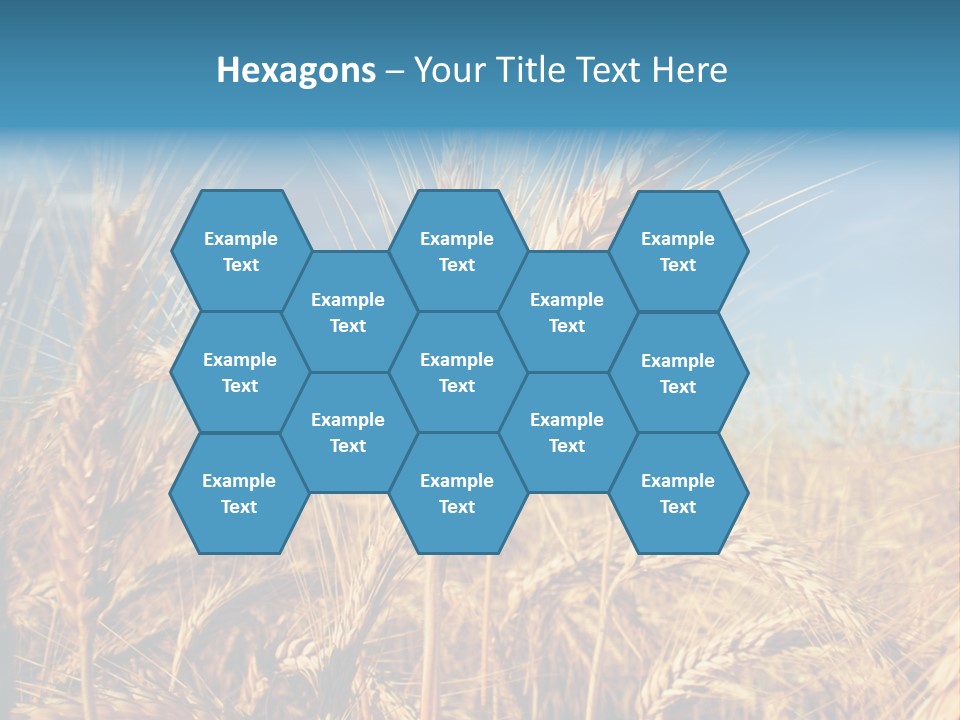 Agriculture Large Rye PowerPoint Template