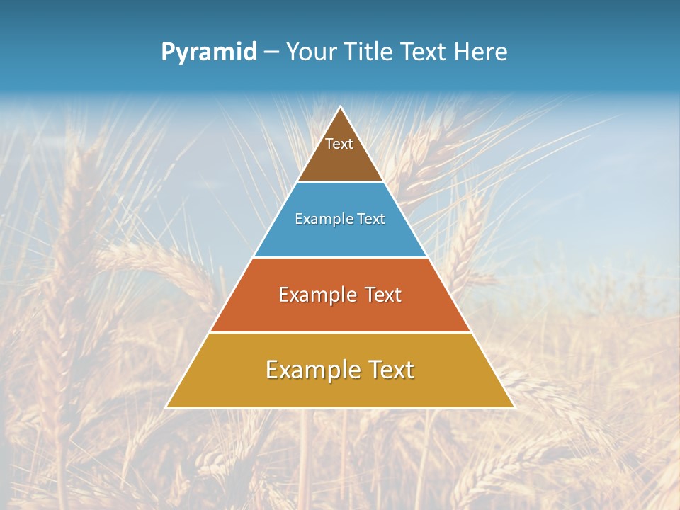Agriculture Large Rye PowerPoint Template