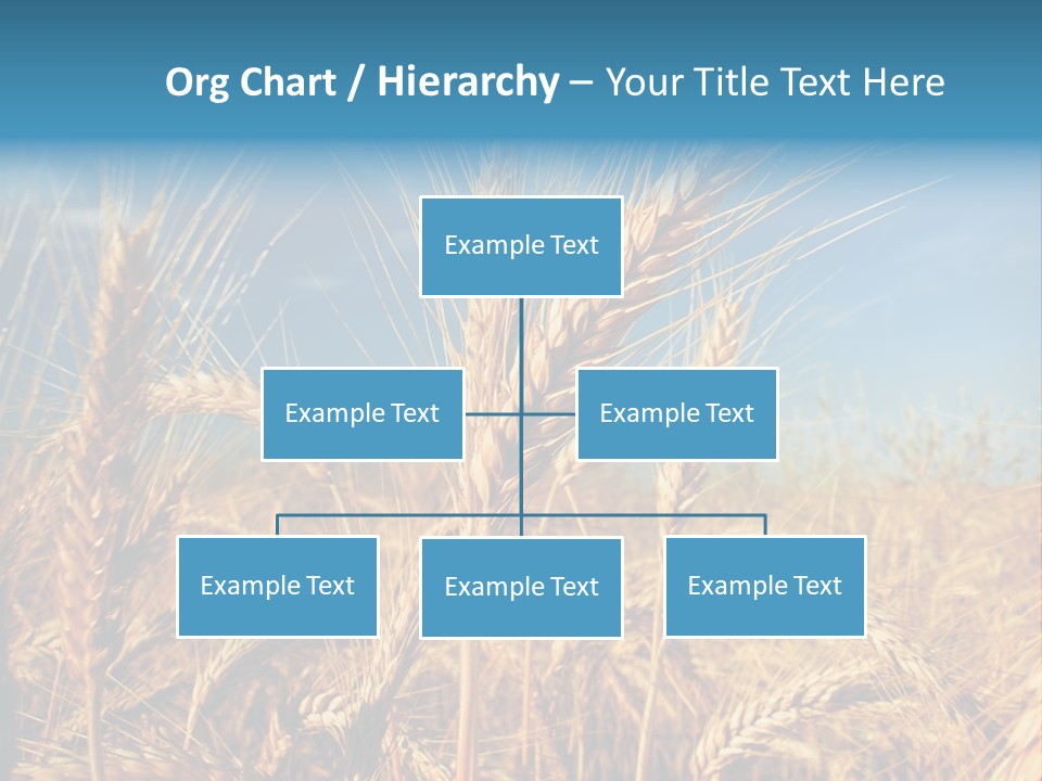 Agriculture Large Rye PowerPoint Template