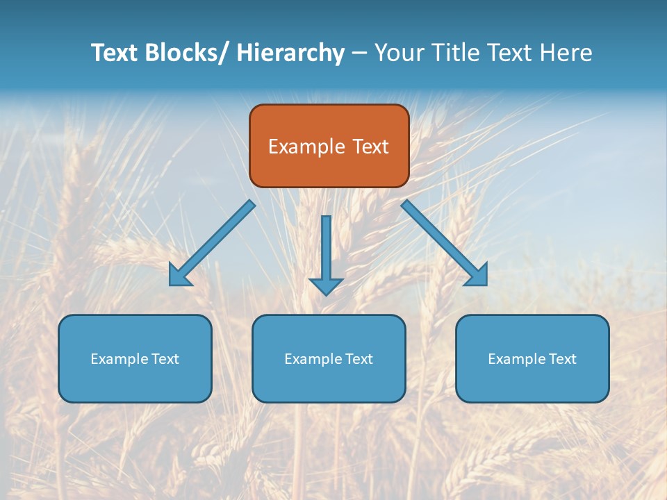 Agriculture Large Rye PowerPoint Template