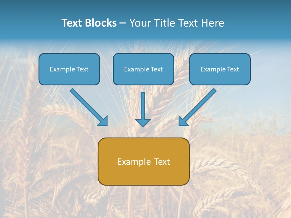 Agriculture Large Rye PowerPoint Template