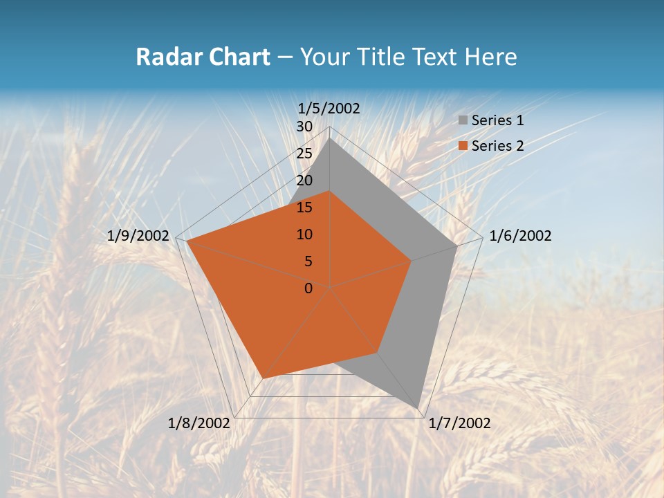 Agriculture Large Rye PowerPoint Template
