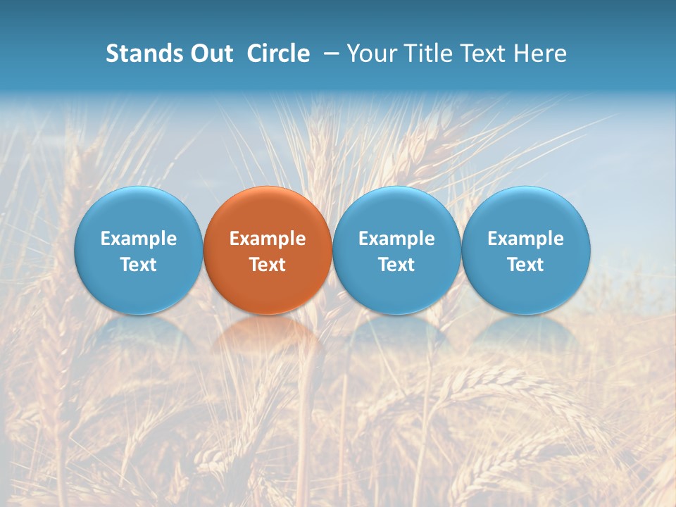 Agriculture Large Rye PowerPoint Template
