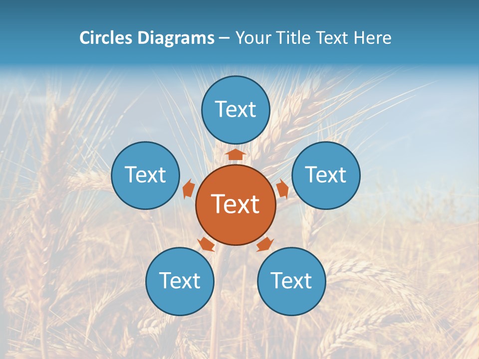 Agriculture Large Rye PowerPoint Template