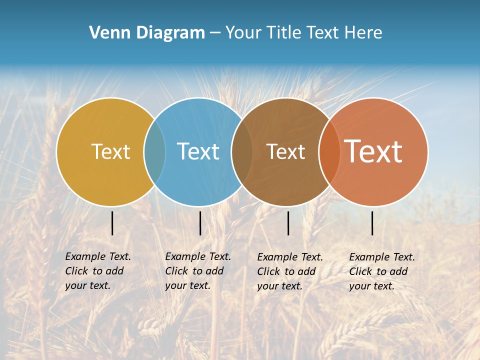 Agriculture Large Rye PowerPoint Template