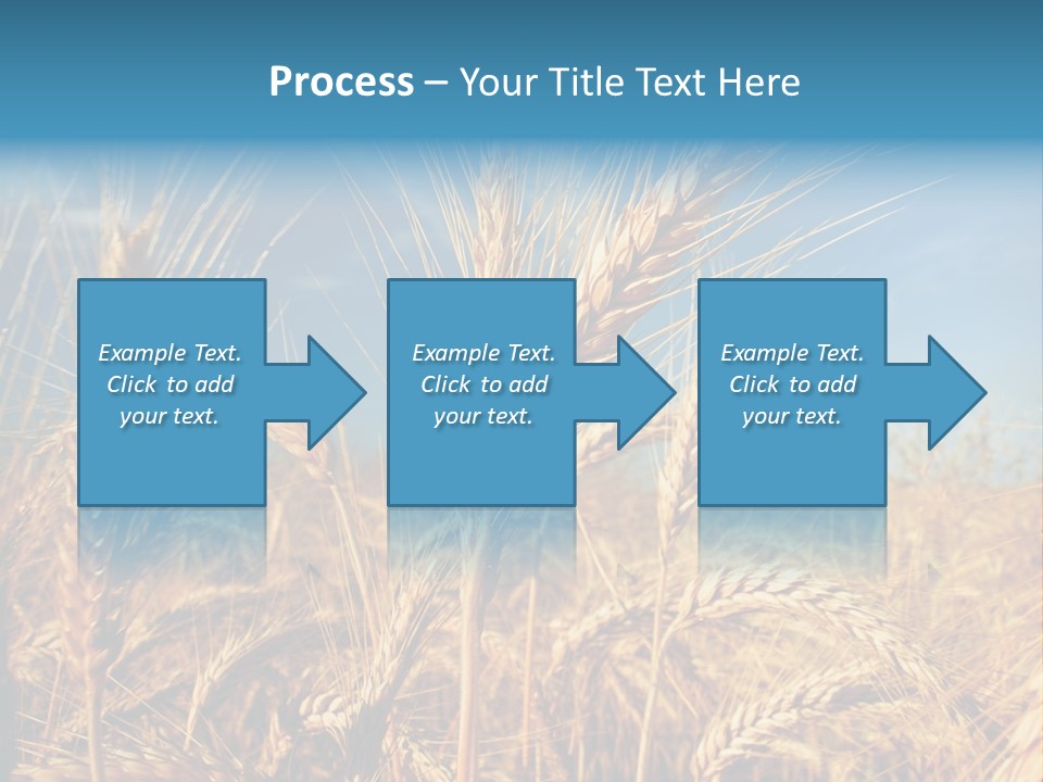 Agriculture Large Rye PowerPoint Template