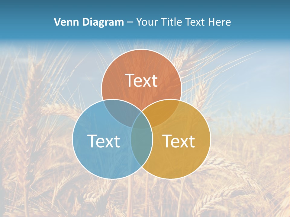 Agriculture Large Rye PowerPoint Template