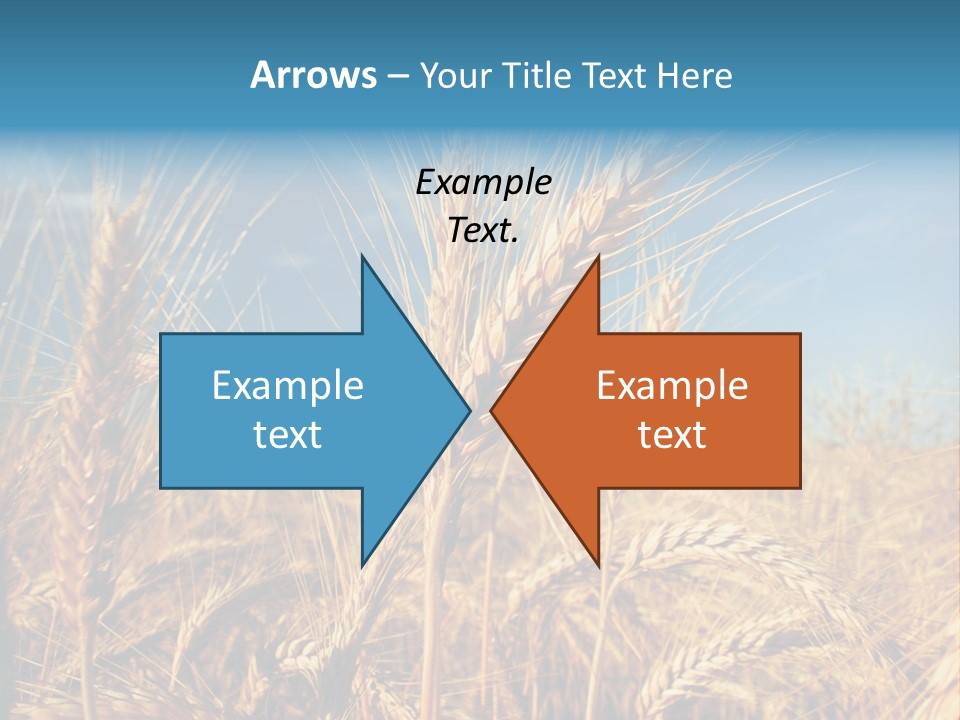 Agriculture Large Rye PowerPoint Template