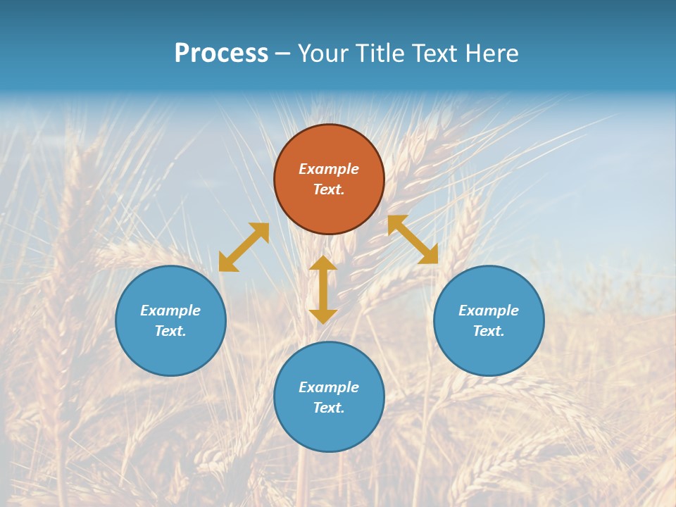 Agriculture Large Rye PowerPoint Template
