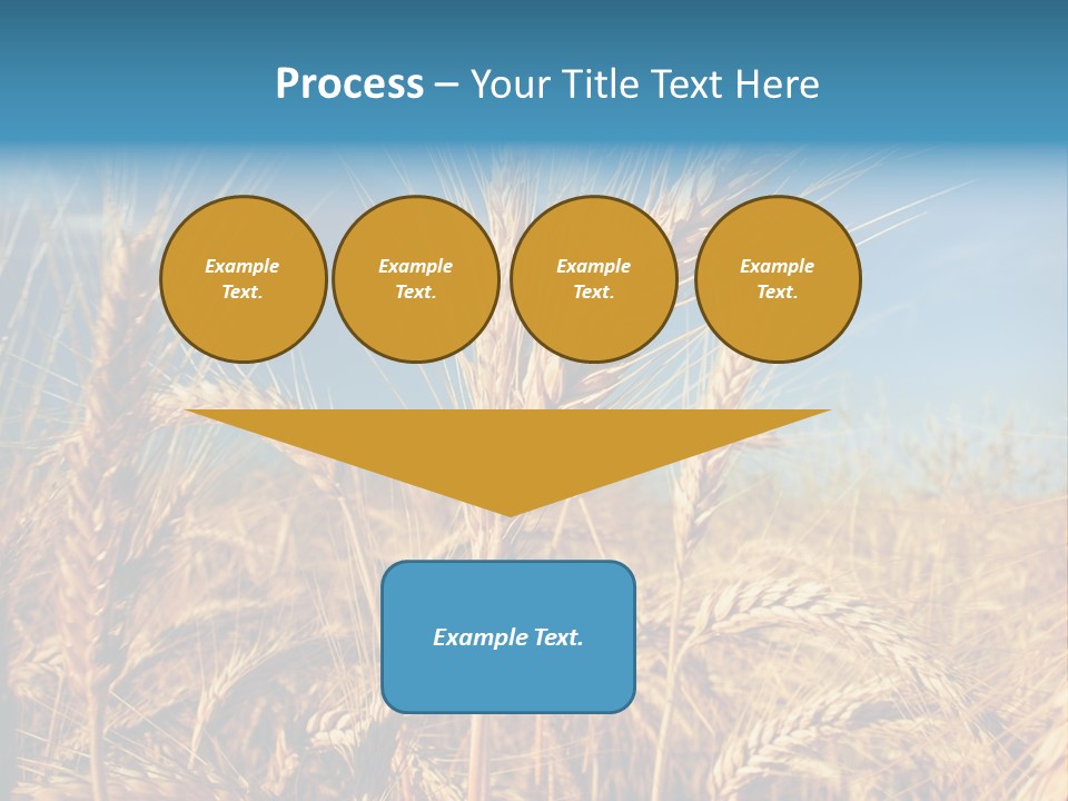 Agriculture Large Rye PowerPoint Template