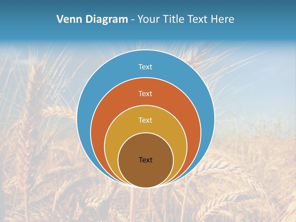 Agriculture Large Rye PowerPoint Template