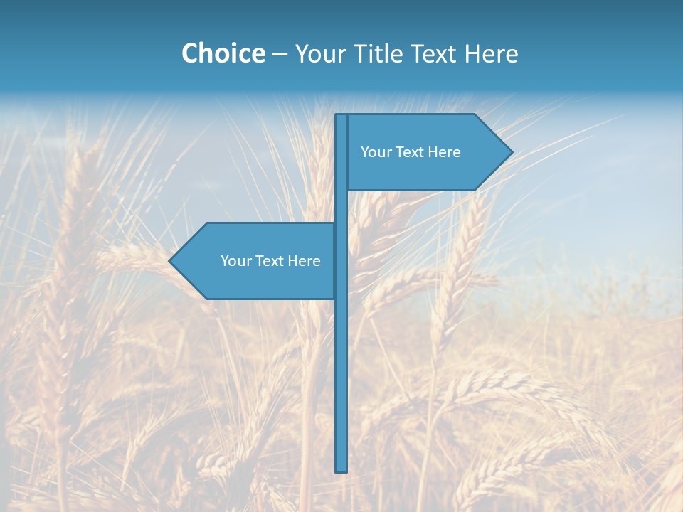 Agriculture Large Rye PowerPoint Template