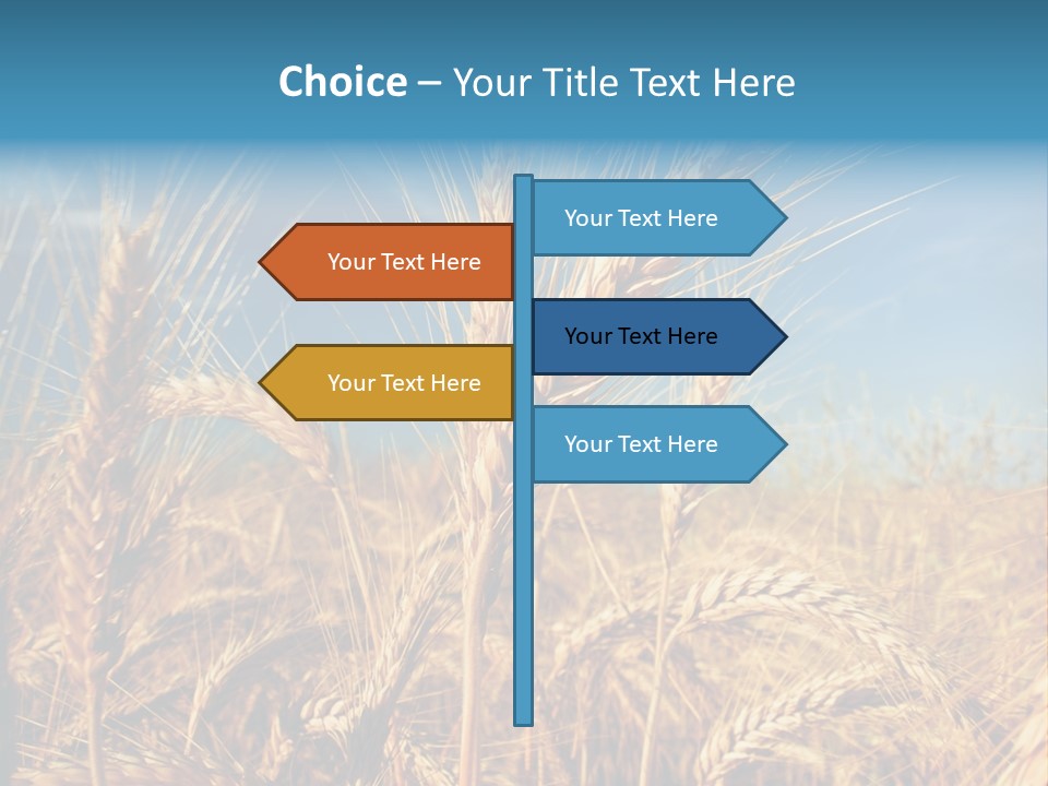 Agriculture Large Rye PowerPoint Template