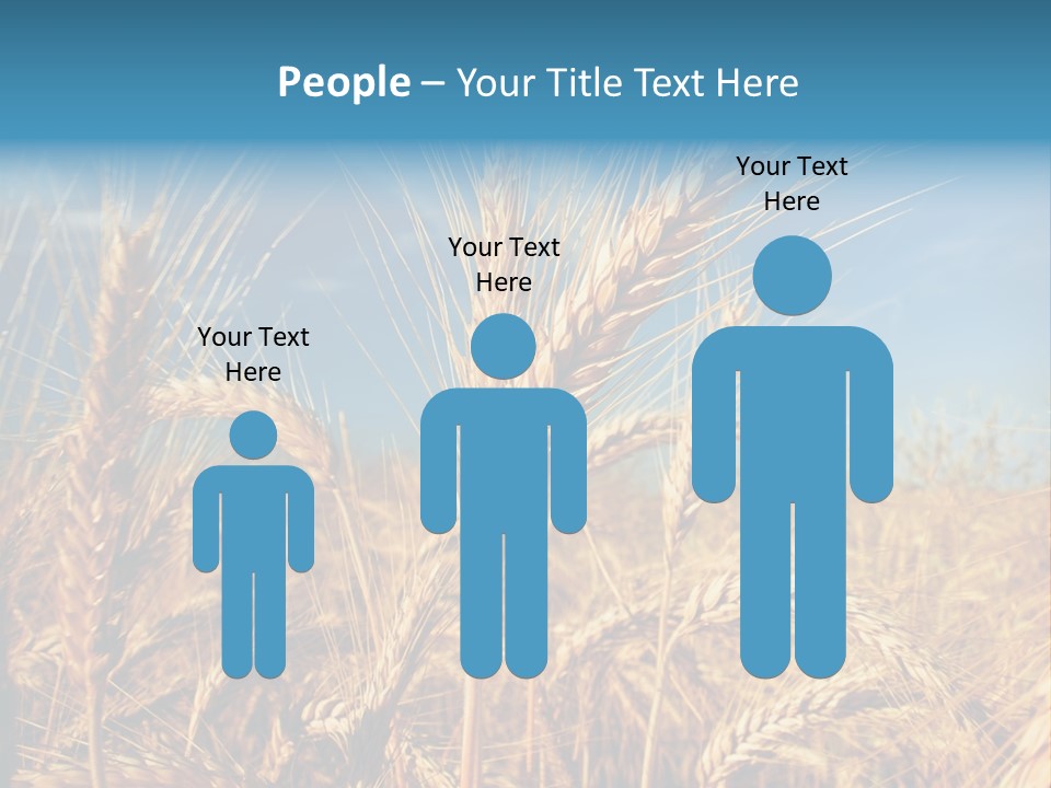 Agriculture Large Rye PowerPoint Template