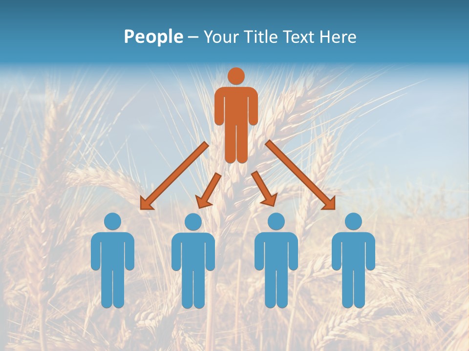 Agriculture Large Rye PowerPoint Template