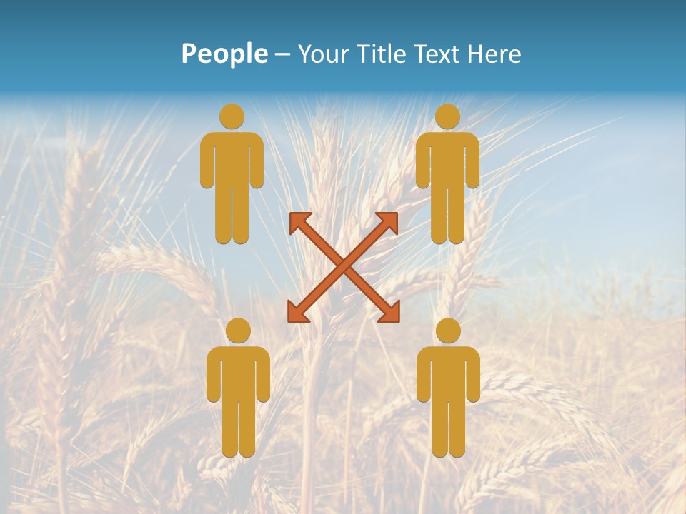 Agriculture Large Rye PowerPoint Template