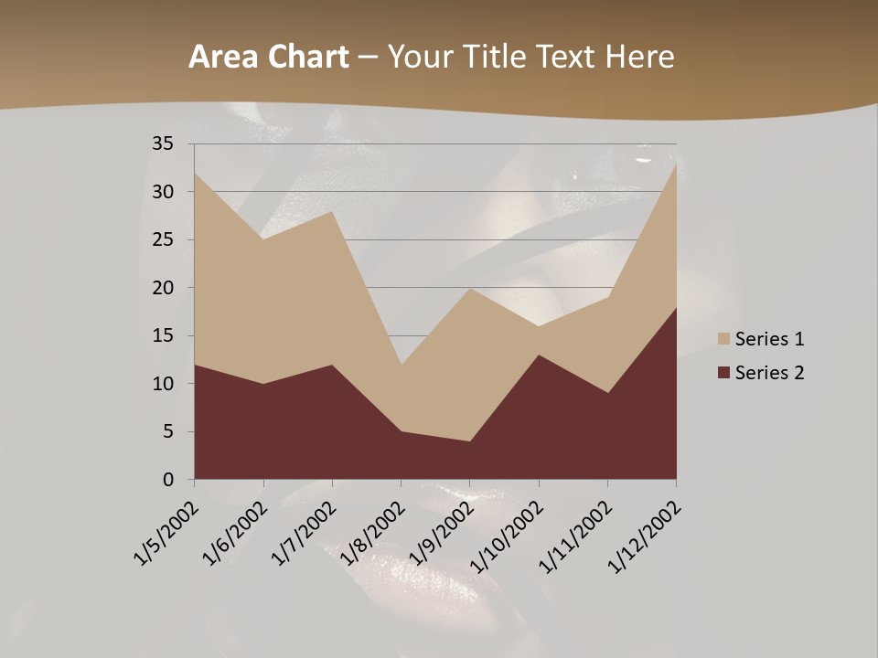 Line Fashion Black PowerPoint Template