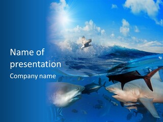 Water Brightly Reef PowerPoint Template