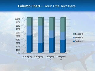 Water Brightly Reef PowerPoint Template