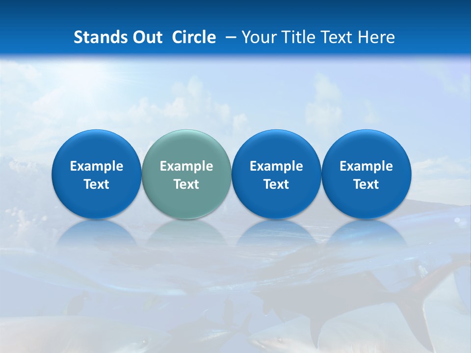 Water Brightly Reef PowerPoint Template