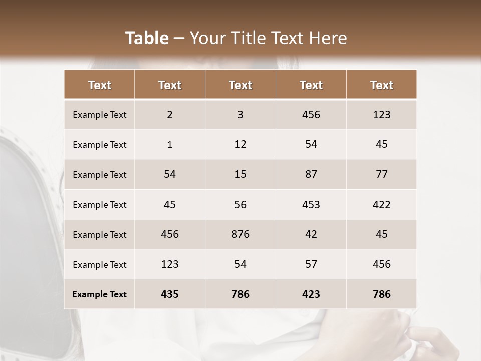 One Female Stewardess PowerPoint Template