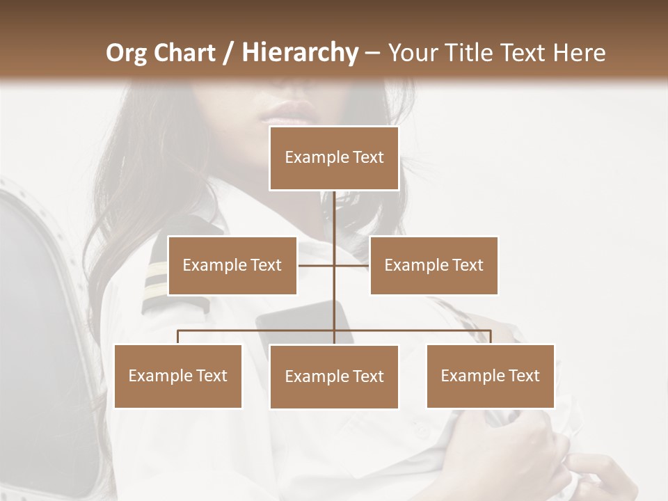 One Female Stewardess PowerPoint Template