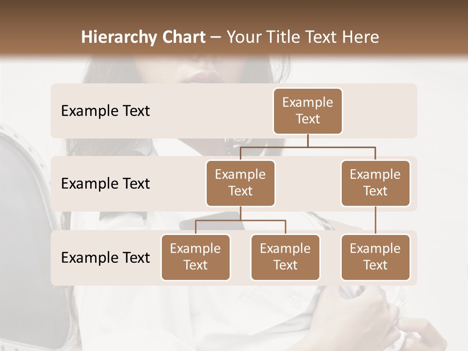One Female Stewardess PowerPoint Template