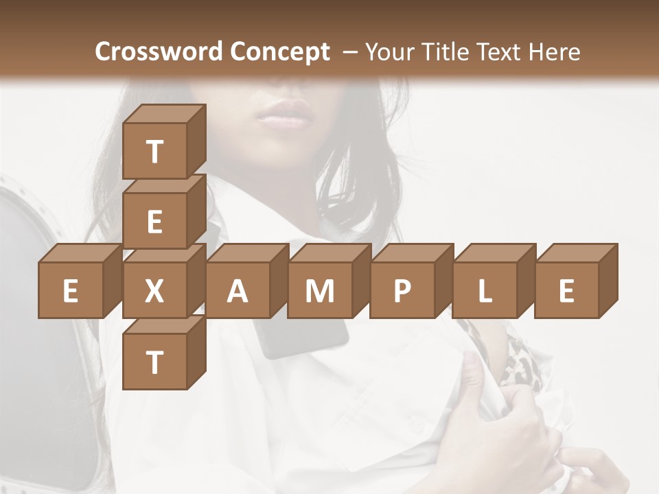 One Female Stewardess PowerPoint Template