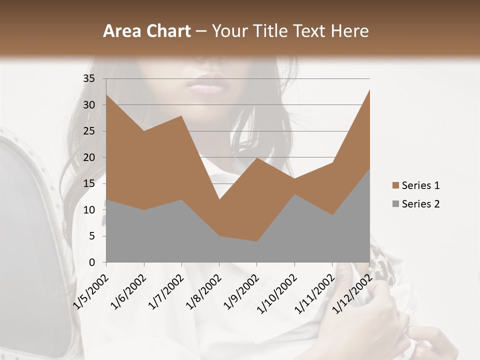 One Female Stewardess PowerPoint Template