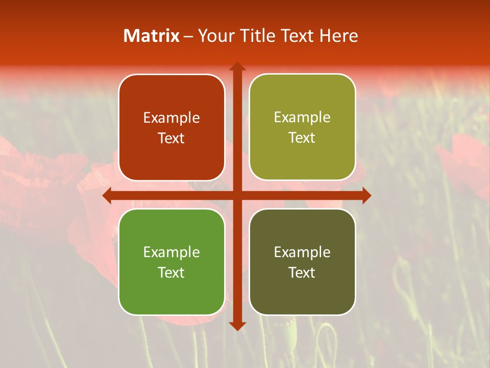 Lit Outdoors Corn PowerPoint Template