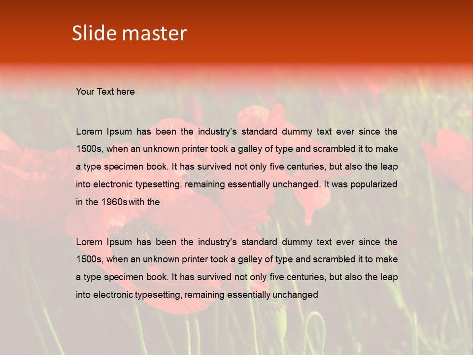 Lit Outdoors Corn PowerPoint Template