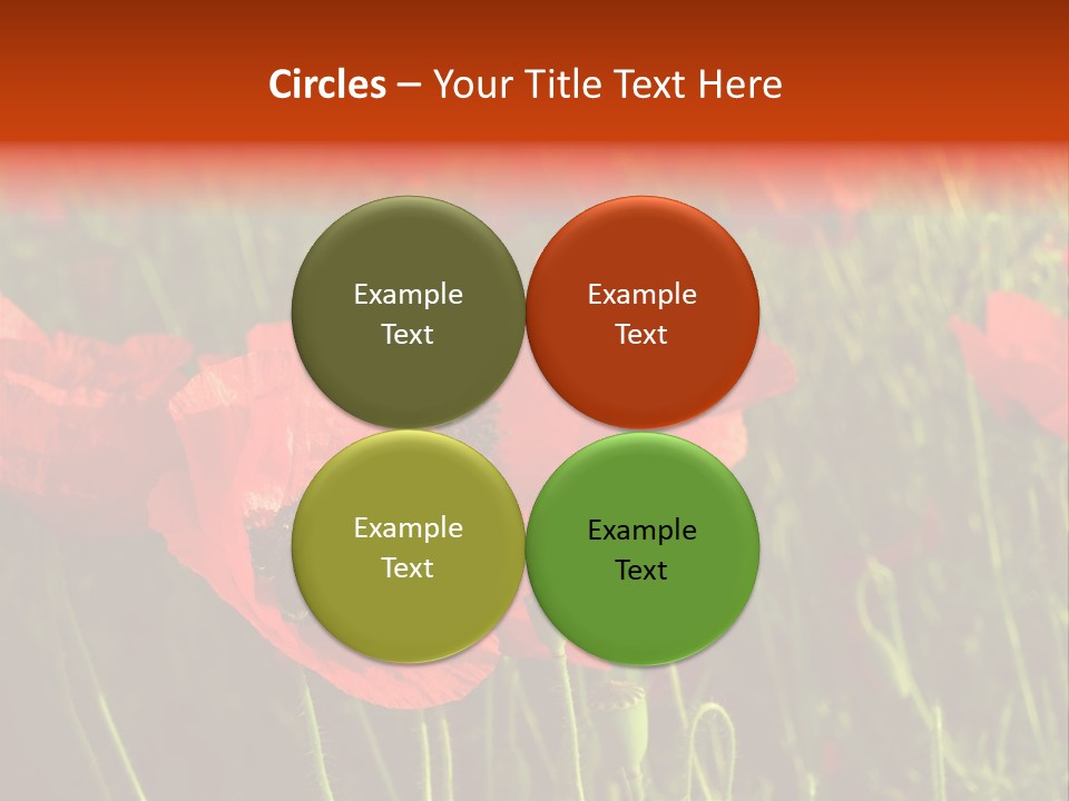 Lit Outdoors Corn PowerPoint Template